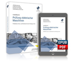 Handbuch Prüfung elektrischer Maschinen von Schlüter,  Ferdinand
