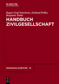 Handbuch Zivilgesellschaft von Priller,  Eckhard, Strachwitz,  Rupert Graf, Triebe,  Benjamin