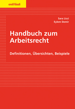 Handbuch zum Arbeitsrecht von Demir,  Eylem, Licci,  Sara