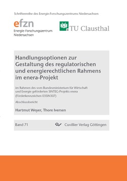 Handlungsoptionen zur Gestaltung des regulatorischen und energierechtlichen Rahmens im enera-Projekt von Weyer,  Hartmut