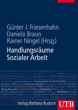 Handlungsräume Sozialer Arbeit von Braun,  Daniela, Friesenhahn,  Günter J., Ningel,  Rainer