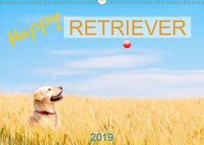 Happy Retriever (Wandkalender 2019 DIN A3 quer) von PK-Fotografie