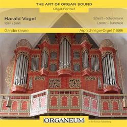 Harald Vogel spielt die Schnitger-Orgel in G a n d e r k e s e e von Vogel,  Harald