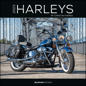 Harleys 2023 – Broschürenkalender 30×30 cm (30×60 geöffnet) – Kalender mit Platz für Notizen – Motorräder – Bildkalender – Wandplaner – Harley-Davidson