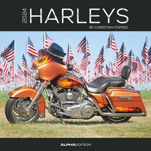 Harleys 2024 – Broschürenkalender 30×30 cm (30×60 geöffnet) – Kalender mit Platz für Notizen – Motorräder – Bildkalender – Wandplaner – Harley-Davidson