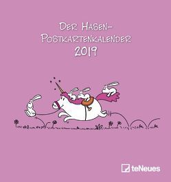 Hasen 2019