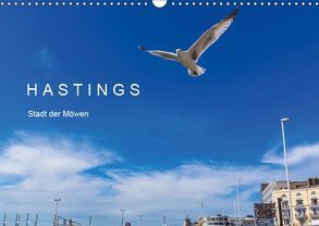 HASTINGS – Stadt der Möwen (Wandkalender 2019 DIN A3 quer) von Lobisch-Delija,  Michael