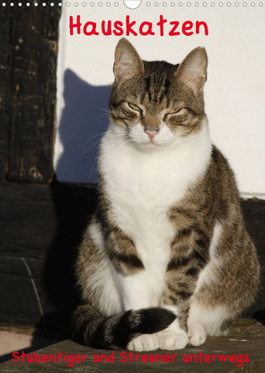 Hauskatzen (Wandkalender 2022 DIN A3 hoch) von Lindert-Rottke,  Antje