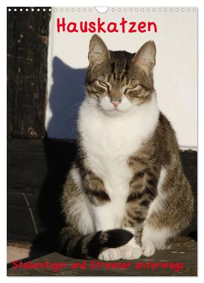 Hauskatzen (Wandkalender 2024 DIN A3 hoch), CALVENDO Monatskalender von Lindert-Rottke,  Antje