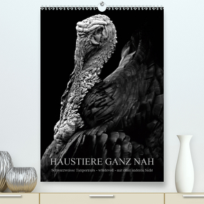 HAUSTIERE GANZ NAH (Premium, hochwertiger DIN A2 Wandkalender 2021, Kunstdruck in Hochglanz) von Hunscha,  Anké