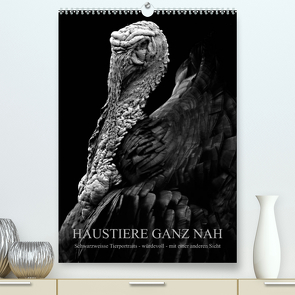 HAUSTIERE GANZ NAH (Premium, hochwertiger DIN A2 Wandkalender 2023, Kunstdruck in Hochglanz) von Hunscha,  Anké
