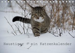 Haustiger – Ein Katzenkalender (Tischkalender 2020 DIN A5 quer) von Becker,  J.