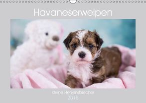 Havaneserwelpen – Kleine Herzensbrecher (Wandkalender 2018 DIN A3 quer) von Tauschnik,  Nicole