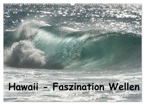 Hawaii – Faszination Wellen (Wandkalender 2024 DIN A2 quer), CALVENDO Monatskalender von Rolf-Dieter Hitzbleck,  Dr.