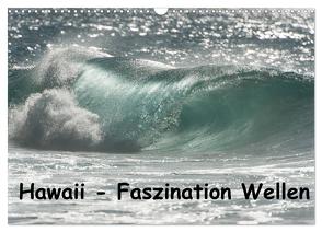 Hawaii – Faszination Wellen (Wandkalender 2024 DIN A3 quer), CALVENDO Monatskalender von Rolf-Dieter Hitzbleck,  Dr.