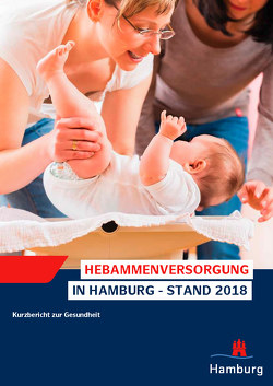 Hebammenversorgung in Hamburg – Stand 2018 von Fertmann,  Regina