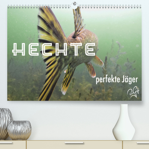 Hechte – perfekte Jäger (Premium, hochwertiger DIN A2 Wandkalender 2022, Kunstdruck in Hochglanz) von PetraGrafie143