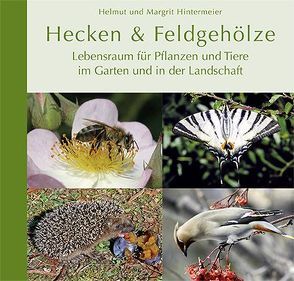 Hecken & Feldgehölze von Hintermeier,  Helmut, Hintermeier,  Margrit
