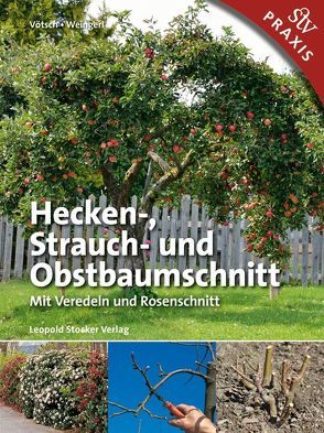 Hecken-, Strauch- und Obstbaumschnitt von Vötsch,  Josef, Weingerl,  Wolfgang