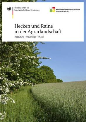 Hecken und Raine in der Agrarlandschaft – Bedeutung – Anlage – Pflege von Kühne,  Stefan