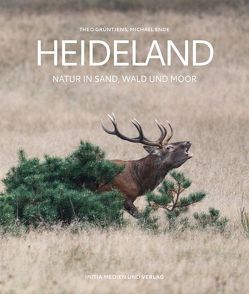 Heideland von Ende,  Michael, Grüntjens,  Theo