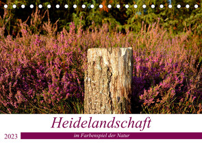 Heidelandschaft im Farbenspiel der Natur (Tischkalender 2023 DIN A5 quer) von Giesecke,  Petra