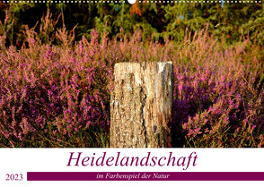 Heidelandschaft im Farbenspiel der Natur (Wandkalender 2023 DIN A2 quer) von Giesecke,  Petra