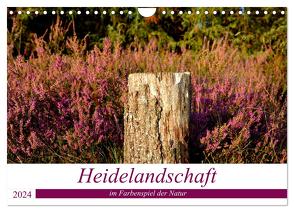 Heidelandschaft im Farbenspiel der Natur (Wandkalender 2024 DIN A4 quer), CALVENDO Monatskalender von Giesecke,  Petra