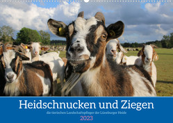 Heidschnucken und Ziegen die tierischen Landschaftspfleger der Lüneburger Heide (Wandkalender 2023 DIN A2 quer) von Lorenzen-Müller,  Sandra