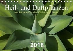 Heil- und Duftpflanzen (Tischkalender 2018 DIN A5 quer) von Hilger,  Axel
