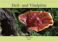 Heil- und Vitalpilze (Tischkalender 2023 DIN A5 quer) von Bindig,  Rudolf