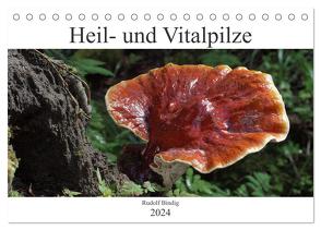 Heil- und Vitalpilze (Tischkalender 2024 DIN A5 quer), CALVENDO Monatskalender von Bindig,  Rudolf