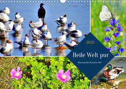 Heile Welt pur – Naturparadies Kurisches Haff (Wandkalender 2023 DIN A3 quer) von von Loewis of Menar,  Henning