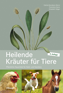 Heilende Kräuter für Tiere von Brendieck-Worm,  Cäcilia, Klarer,  Franziska, Stöger,  Elisabeth