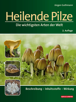 Heilende Pilze von Guthmann,  Jürgen