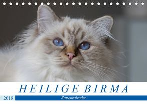 Heilige Birma Katzen (Tischkalender 2019 DIN A5 quer) von Münch,  Michaela