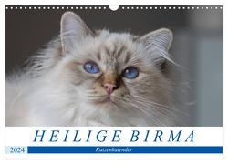 Heilige Birma Katzenkalender (Wandkalender 2024 DIN A3 quer), CALVENDO Monatskalender von Münch,  Michaela