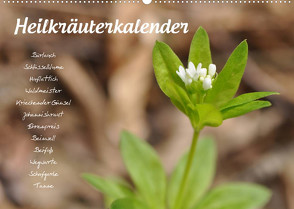 HeilkräuterkalenderAT-Version (Wandkalender 2022 DIN A2 quer) von Your Spirit,  Use