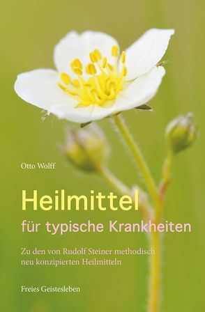 Heilmittel für typische Krankheiten von Wolff,  Otto