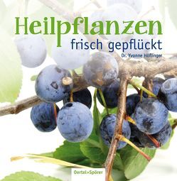 Heilpflanzen frisch gepflückt von Höflinger,  Yvonne