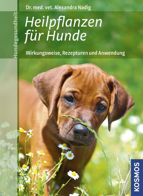 Heilpflanzen für Hunde von Nadig,  Alexandra