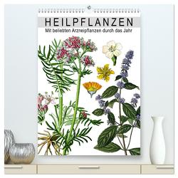 Heilpflanzen (hochwertiger Premium Wandkalender 2024 DIN A2 hoch), Kunstdruck in Hochglanz von bilwissedition.com Layout: Babette Reek,  Bilder: