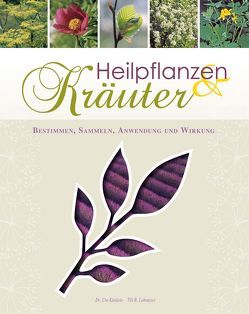 Heilpflanzen & Kräuter von Künkele,  Dr. Ute, Lohmeyer,  Till R.