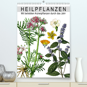 Heilpflanzen (Premium, hochwertiger DIN A2 Wandkalender 2021, Kunstdruck in Hochglanz) von bilwissedition.com Layout: Babette Reek,  Bilder: