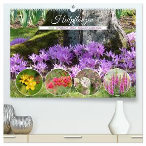 Heilpflanzen – Schätze im Garten (hochwertiger Premium Wandkalender 2024 DIN A2 quer), Kunstdruck in Hochglanz von Kruse,  Gisela