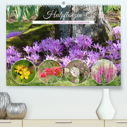 Heilpflanzen – Schätze im Garten (Premium, hochwertiger DIN A2 Wandkalender 2023, Kunstdruck in Hochglanz) von Kruse,  Gisela