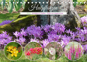 Heilpflanzen – Schätze im Garten (Tischkalender 2023 DIN A5 quer) von Kruse,  Gisela