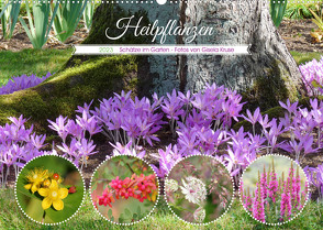 Heilpflanzen – Schätze im Garten (Wandkalender 2023 DIN A2 quer) von Kruse,  Gisela