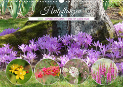 Heilpflanzen – Schätze im Garten (Wandkalender 2023 DIN A3 quer) von Kruse,  Gisela