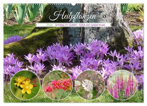 Heilpflanzen – Schätze im Garten (Wandkalender 2024 DIN A2 quer), CALVENDO Monatskalender von Kruse,  Gisela